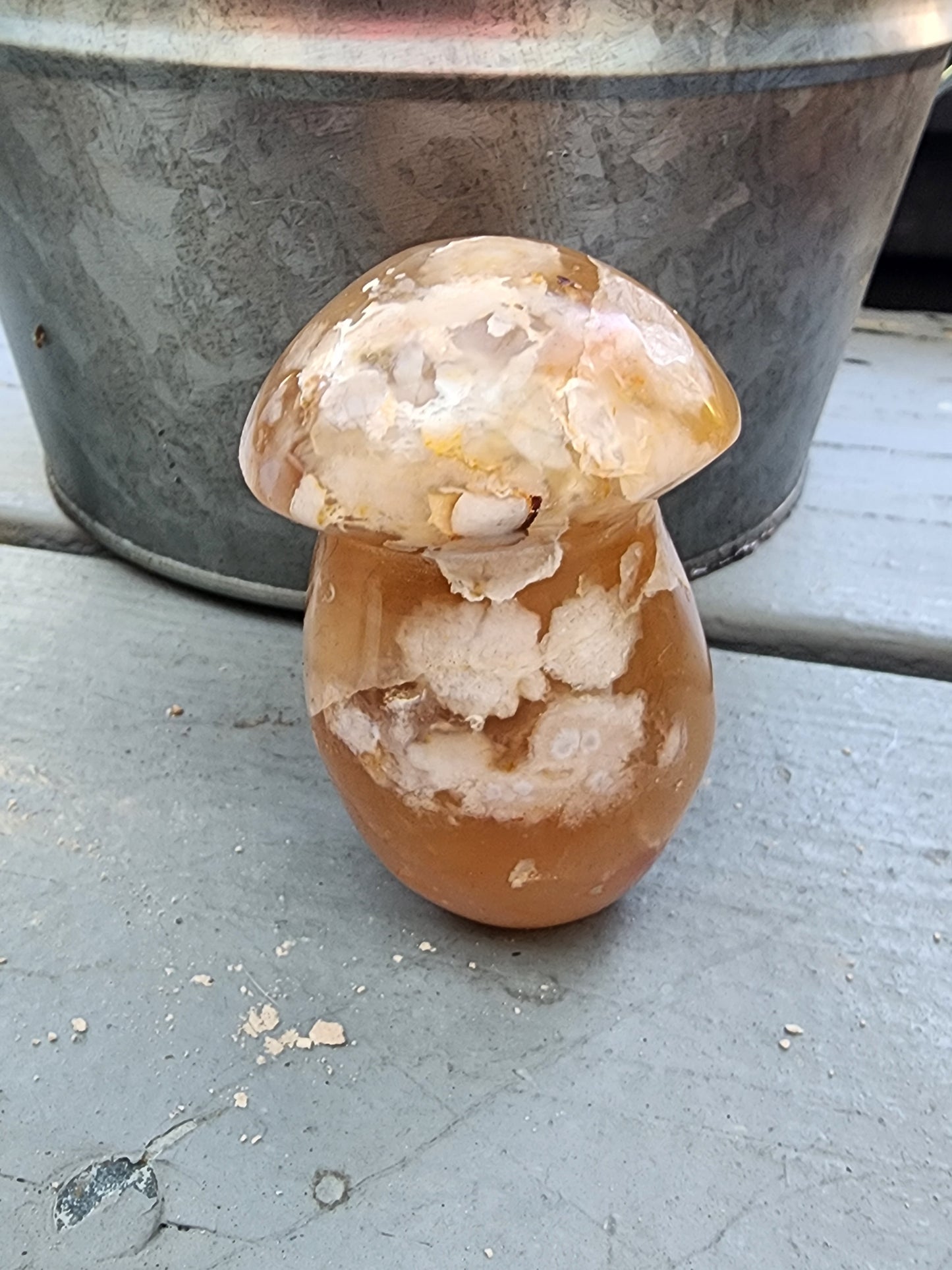 Flower Agate, Natural Agate, Ocean Jasper Hand Carved Mushrooms