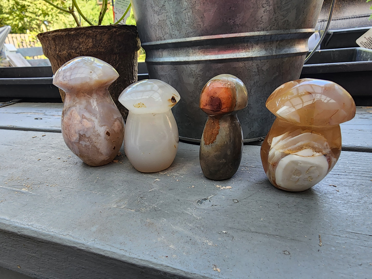 Flower Agate, Natural Agate, Ocean Jasper Hand Carved Mushrooms