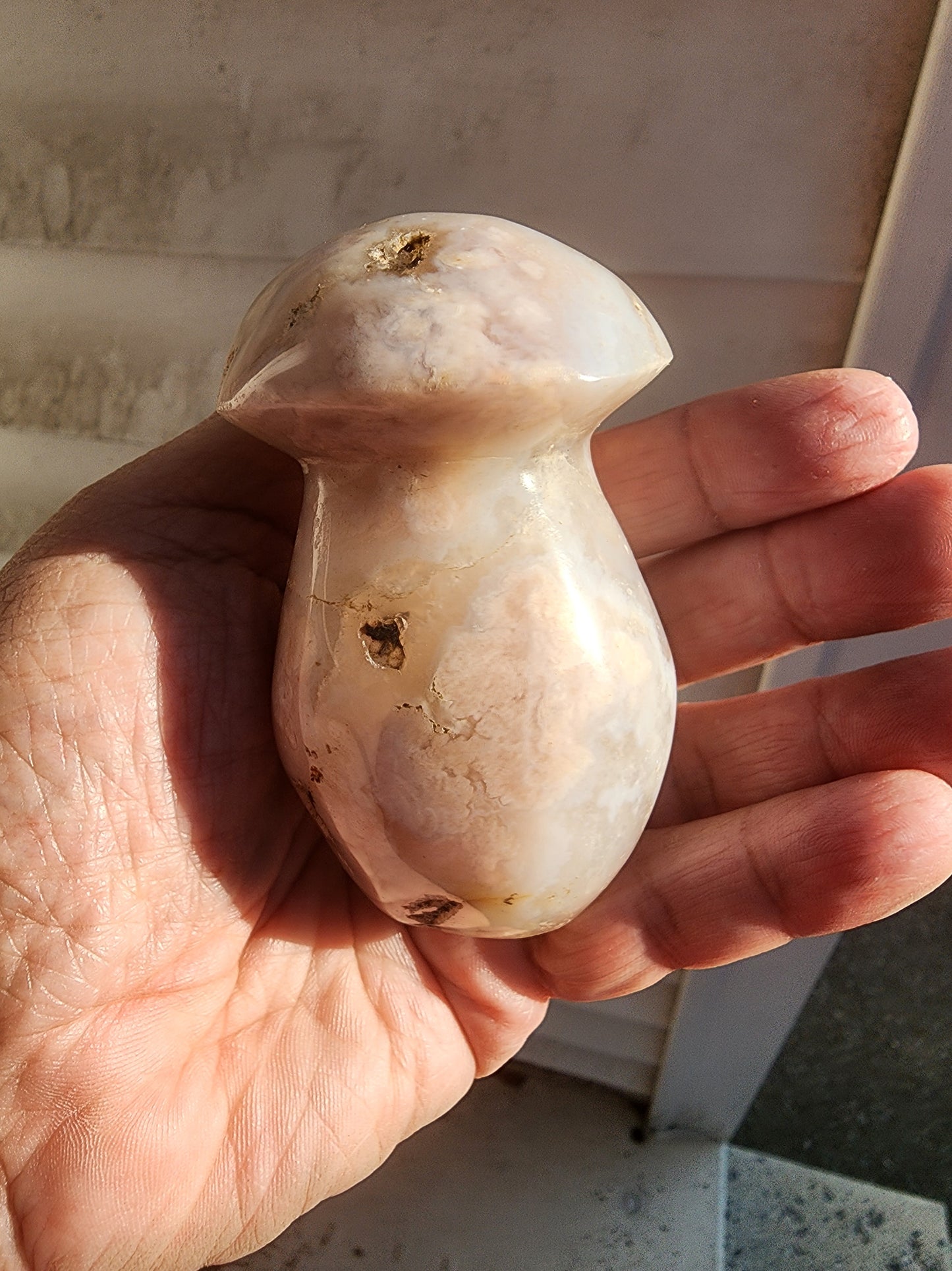 Flower Agate, Natural Agate, Ocean Jasper Hand Carved Mushrooms