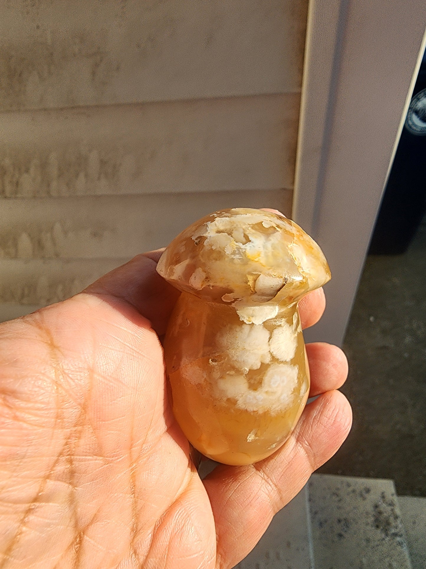 Flower Agate, Natural Agate, Ocean Jasper Hand Carved Mushrooms