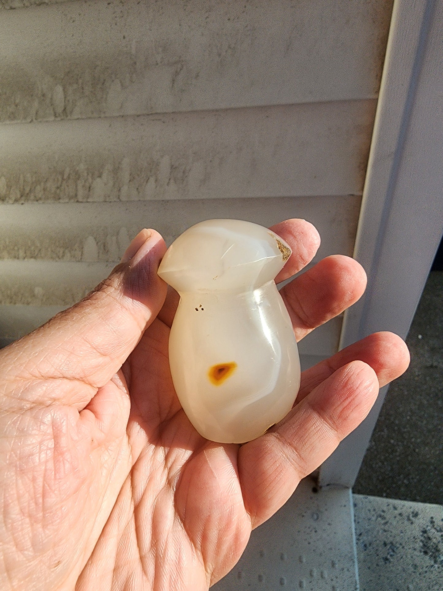 Flower Agate, Natural Agate, Ocean Jasper Hand Carved Mushrooms