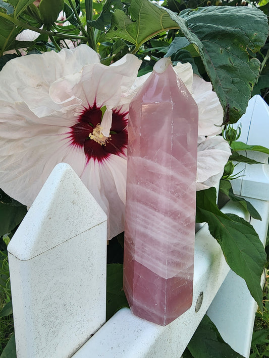 *XL Polished Rose Quartz Tower*